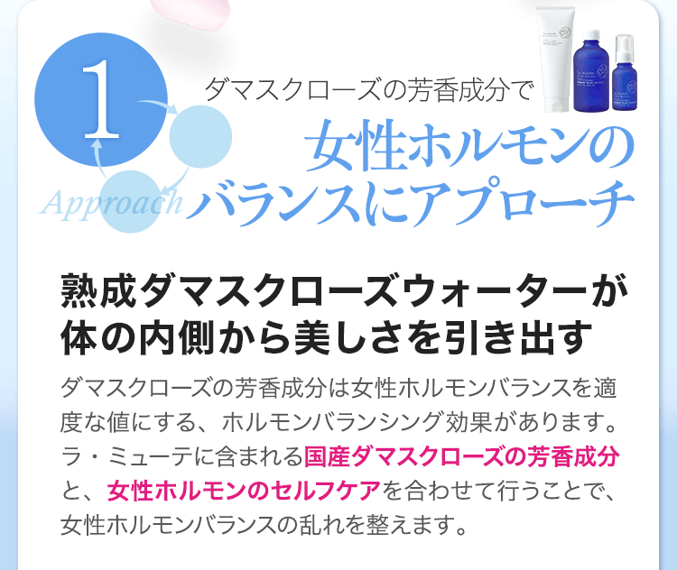 繰り返す大人ニキビループ 今こそ撃退 生理前 ストレスの肌荒れ ニキビ 内側から輝く肌へ