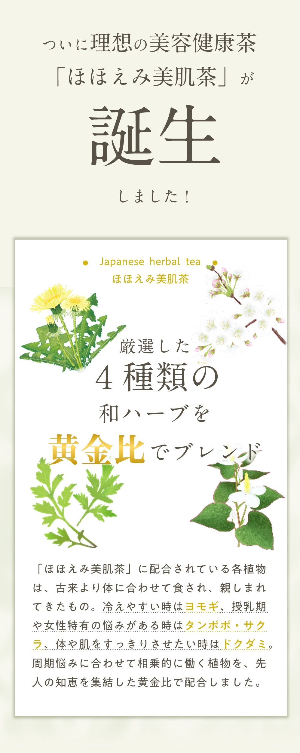 美容健康茶「ほほえみ美肌茶」は黄金比でブレンド。国産ヨモギ・タンポポ・ドクダミ・サクラの4種類の和ハーブで製造